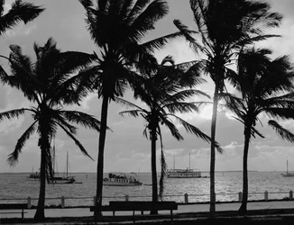 Atardecer, Bahía de Biscayne, Miami, Florida, c.1910-20